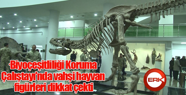 ‘Biyoçeşitliliği Koruma Çalıştayı'nda vahşi hayvan figürleri dikkat çekti