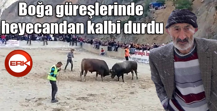 Boğa güreşlerinde heyecandan kalbi durdu