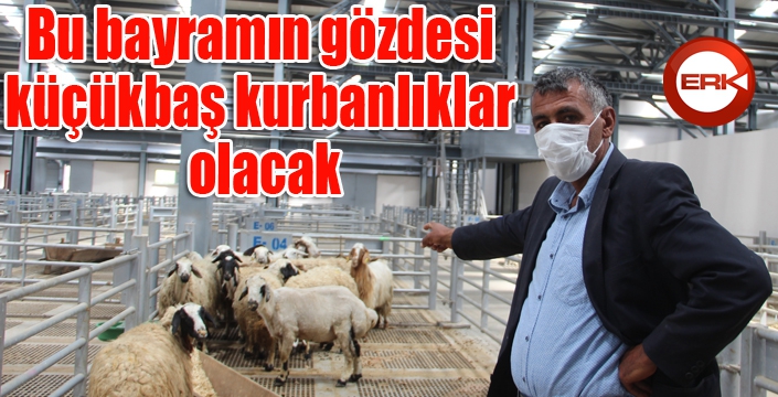 Bu bayramın gözdesi küçükbaş kurbanlıklar olacak