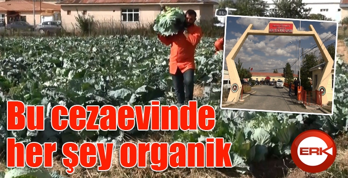 Bu cezaevinde her şey organik