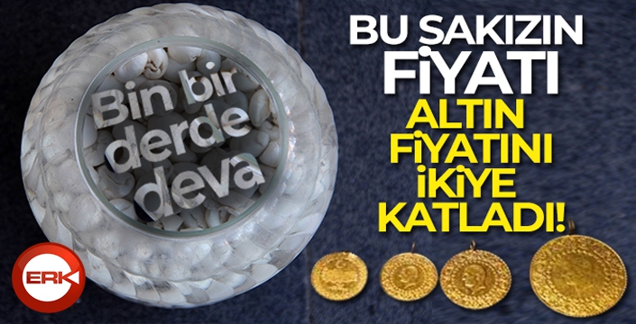 Bu sakızın fiyatı altın fiyatını ikiye katladı