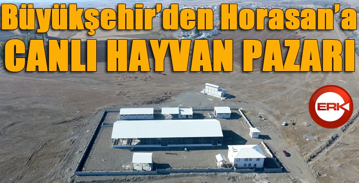 Büyükşehir Horasan’a canlı hayvan pazarı yaptı