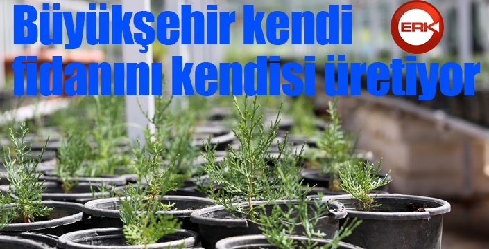 Büyükşehir kendi fidanını kendisi üretiyor