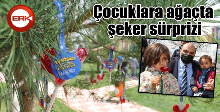 Çocuklara ağaçta şeker sürprizi