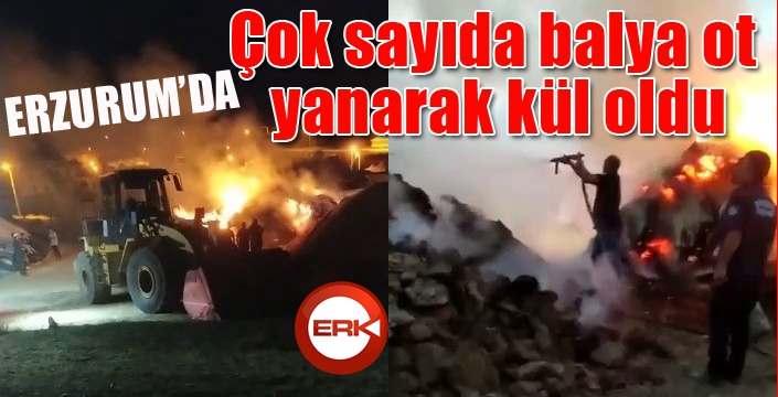 Çok sayıda balya ot yanarak kül oldu