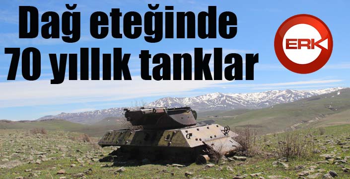 Dağ eteğindeki 70 yıllık tanklara doğa sahip çıkıyor