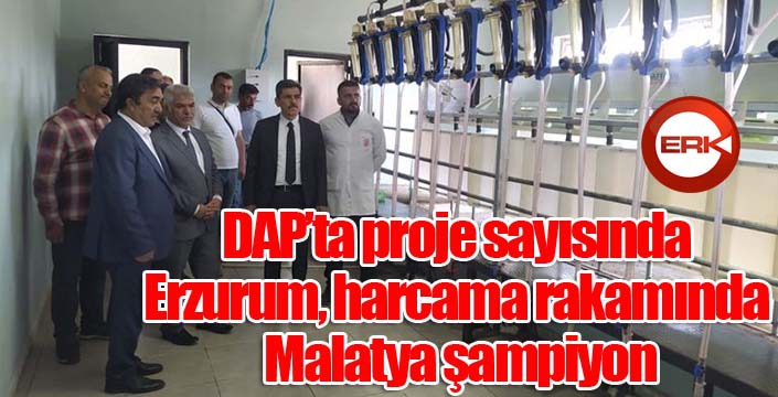 DAP’ta proje sayısında Erzurum, harcama rakamında Malatya şampiyon