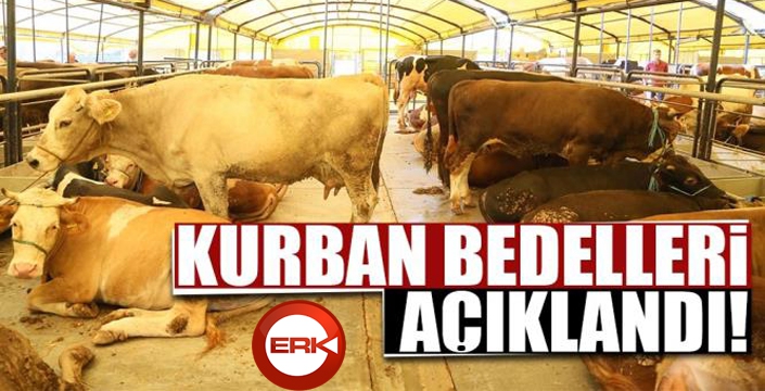 Diyanet İşleri kurban bedellerini açıkladı