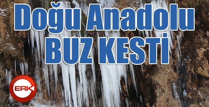 Doğu Anadolu buz kesti