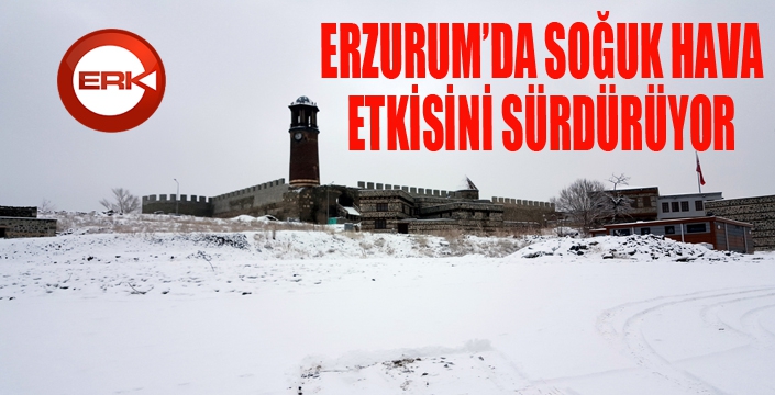 Doğu Anadolu buz kesti: Erzurum eksi 19