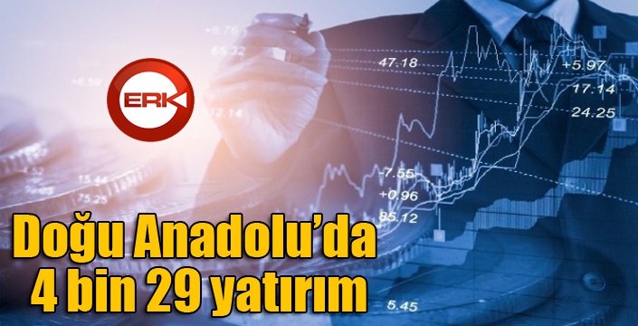 Doğu Anadolu’da 4 bin 29 yatırım