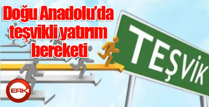 Doğu Anadolu’da teşvikli yatırım bereketi