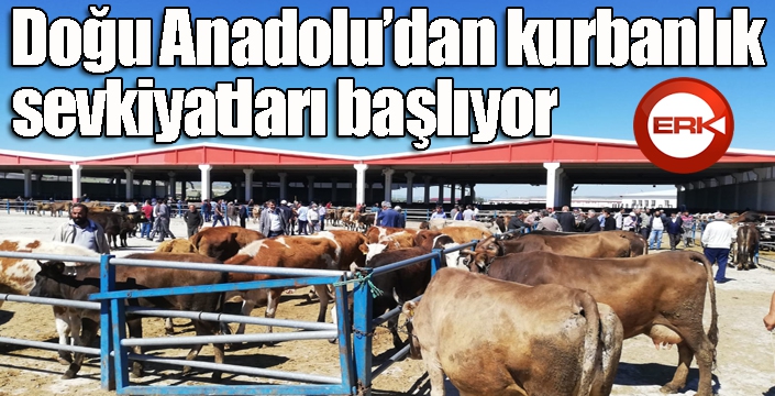 Doğu Anadolu’dan kurbanlık sevkiyatları başlıyor