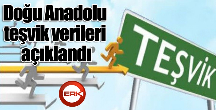 Doğu Anadolu teşvik verileri açıklandı