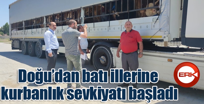 Doğu’dan batı illerine kurbanlık sevkiyatı başladı