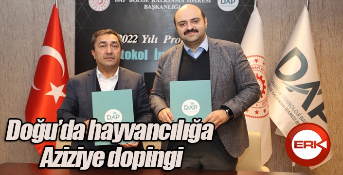 Doğu hayvancılığına Aziziye dopingi