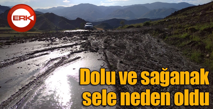 Dolu ve sağanak sele neden oldu