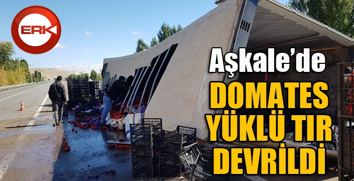 Domates yüklü Tır devrildi