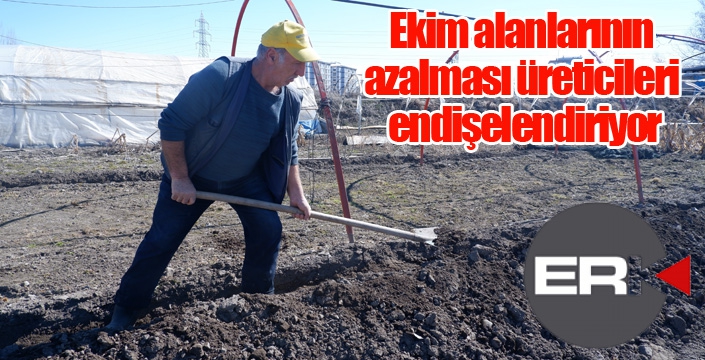 Ekim alanlarının azalması üreticileri endişelendiriyor