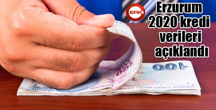 Erzurum 2020 kredi verileri açıklandı