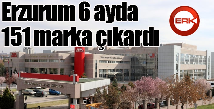 Erzurum 6 ayda 151 marka çıkardı