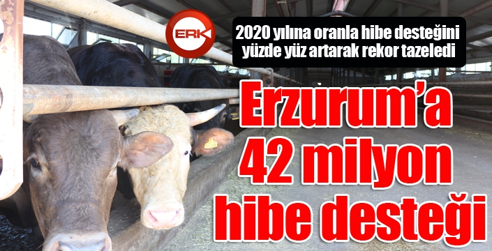 Erzurum’a 42 milyon hibe desteği