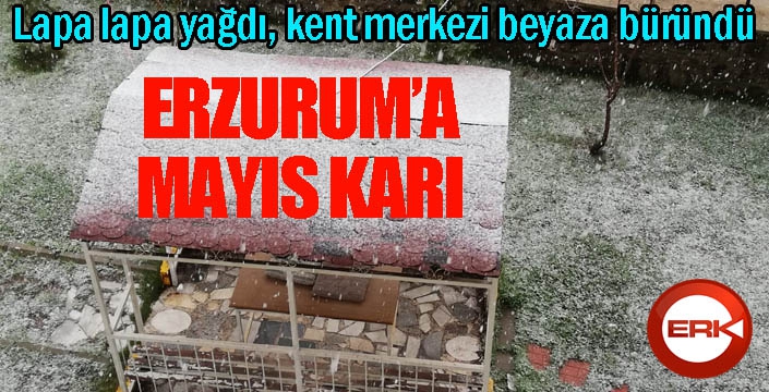 Erzurum'a Mayıs karı...