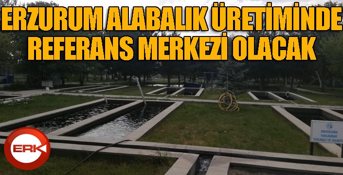 Erzurum alabalık üretiminde referans merkezi olacak...