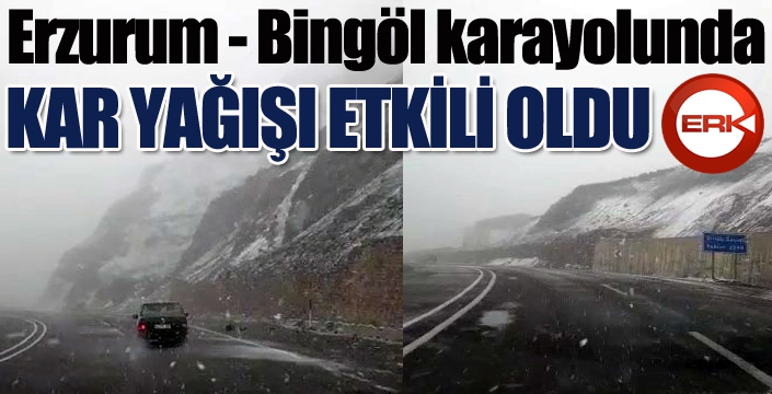 Erzurum-Bingöl karayolunda kar yağışı etkili oldu...