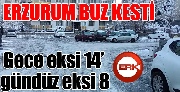 Erzurum buz kesti, gece eksi 14’ü, gündüz eksi 8’i gördü