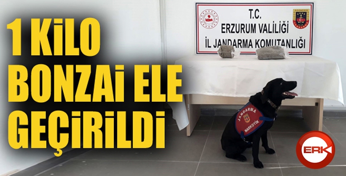 Erzurum'da 1 kilo bonzai ele geçirildi