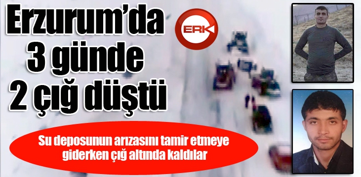Erzurum’da 3 günde 2 çığ düştü