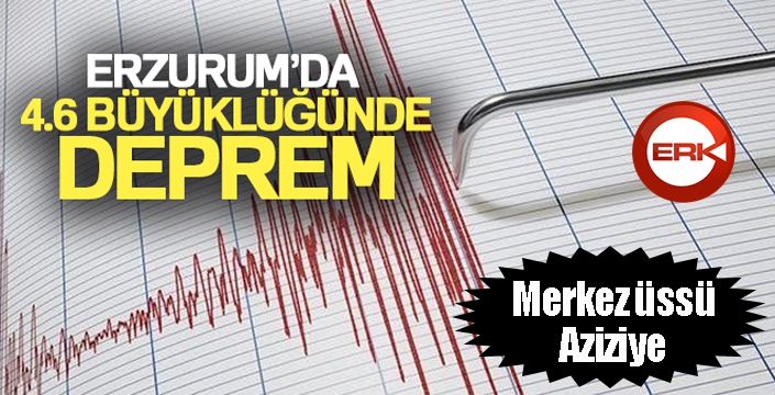 Erzurum'da 4.6 büyüklüğünde deprem