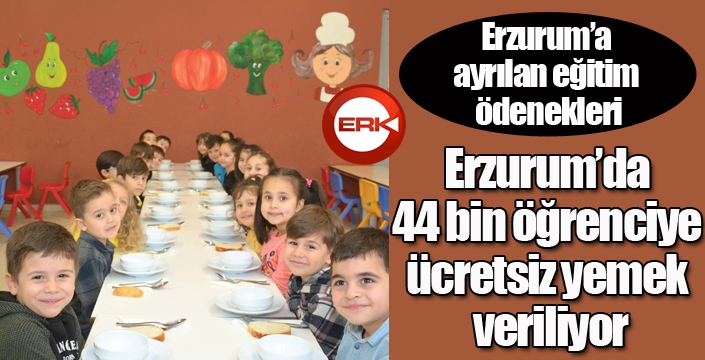 Erzurum’da 44 bin öğrenciye ücretsiz yemek veriliyor