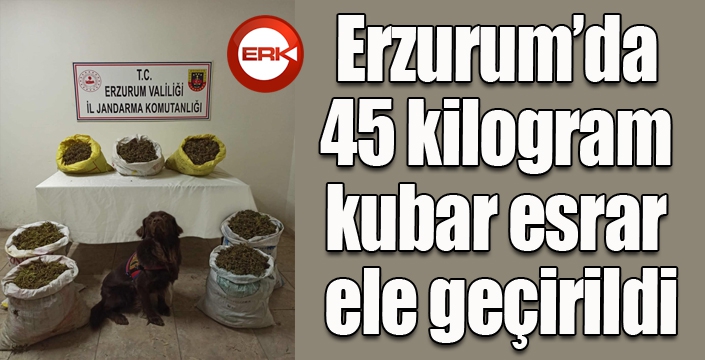 Erzurum’da 45 kilogram kubar esrar ele geçirildi
