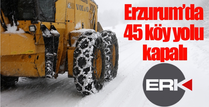 Erzurum’da 45 köy yolu kapalı
