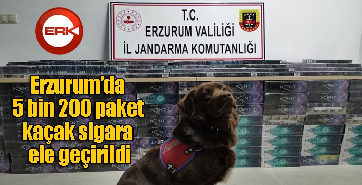 Erzurum’da 5 bin 200 paket kaçak sigara ele geçirildi