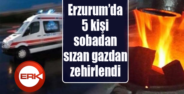 Erzurum’da 5 kişi sobadan sızan gazdan zehirlendi 