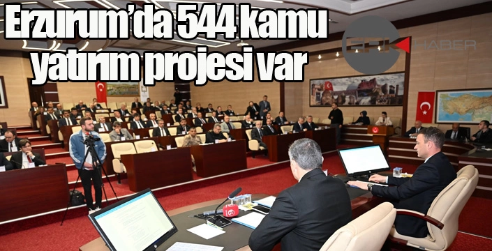 Erzurum’da 544 kamu yatırım projesi var