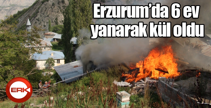 Erzurum’da 6 ev yanarak kül oldu