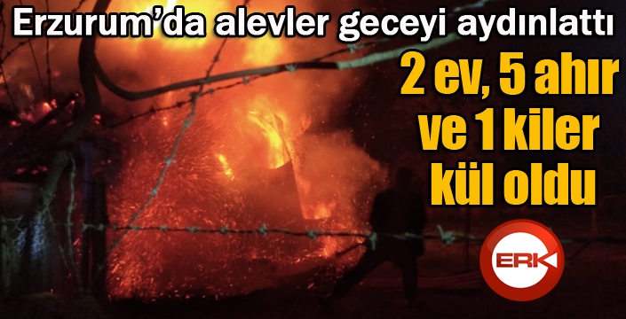 Erzurum’da alevler geceyi aydınlattı: 2 ev, 5 ahır ve 1 kiler kül oldu