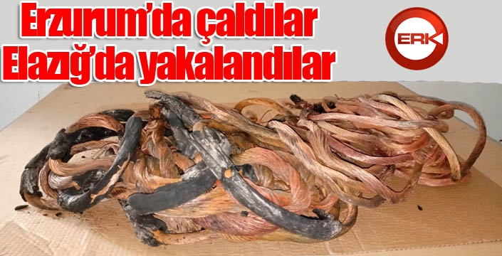 Erzurum'da çaldılar Elazığ'da yakalandılar