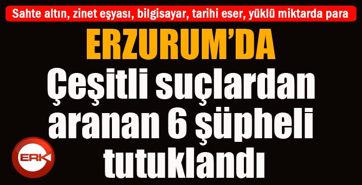 Erzurum’da çeşitli suçlardan aranan 6 şüpheli tutuklandı