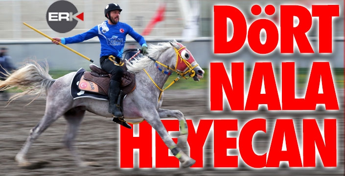 Erzurum'da cirit heyecanı sürüyor 