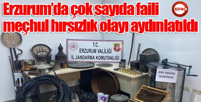 Erzurum’da çok sayıda faili meçhul hırsızlık olayı aydınlatıldı: 4 tutuklama