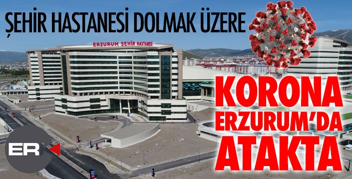 Erzurum’da Covit-19 alarmı