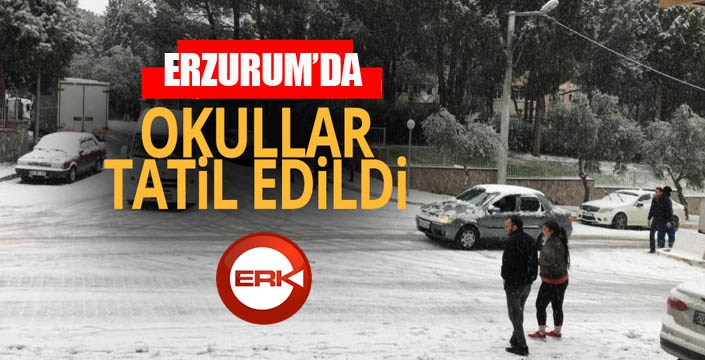 Erzurum'da eğitime kar engeli...