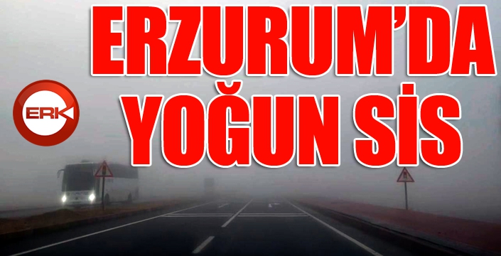 Erzurum’da etkili olan yoğun sis sürücülere zor anlar yaşattı