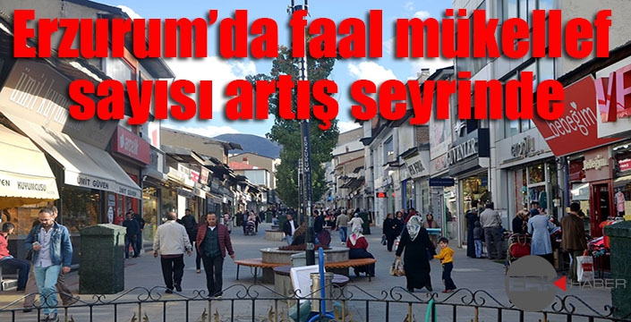 Erzurum’da faal mükellef sayısı artış seyrinde