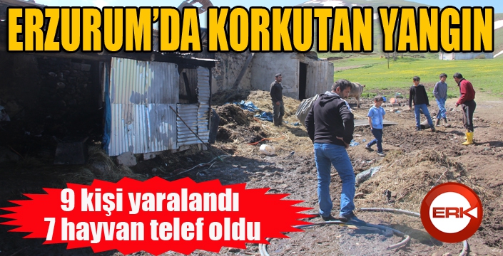 Erzurum'da feci yangın: 9 kişi yaralandı, 7 hayvan telef oldu